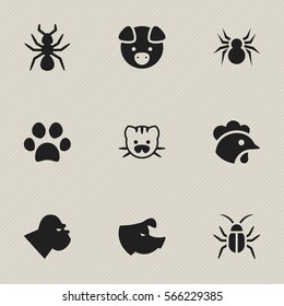 Set Of 9 Editable Zoology Icons. Includes Symbols Such As Sow, Rooster, Cockroach And More. Can Be Used For Web, Mobile, UI And Infographic Design.