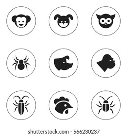 Set Of 9 Editable Zoology Icons. Includes Symbols Such As Puppy, Chimpanzee, Rooster And More. Can Be Used For Web, Mobile, UI And Infographic Design.