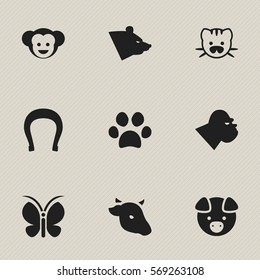 Set Of 9 Editable Zoology Icons. Includes Symbols Such As Grizzly, Hog, Baboon And More. Can Be Used For Web, Mobile, UI And Infographic Design.