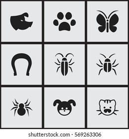 Set Of 9 Editable Zoology Icons. Includes Symbols Such As Arachind, Forepaw, Talisman And More. Can Be Used For Web, Mobile, UI And Infographic Design.