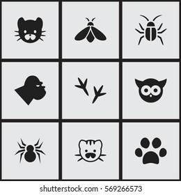 Set Of 9 Editable Zoology Icons. Includes Symbols Such As Footprint, Forepaw, Arachind And More. Can Be Used For Web, Mobile, UI And Infographic Design.