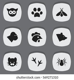 Set Of 9 Editable Zoology Icons. Includes Symbols Such As Footprint, Forepaw, Bird And More. Can Be Used For Web, Mobile, UI And Infographic Design.