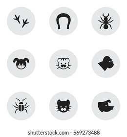 Set Of 9 Editable Zoology Icons. Includes Symbols Such As Cockroach, Puppy, Feline And More. Can Be Used For Web, Mobile, UI And Infographic Design.