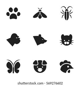 Set Of 9 Editable Zoology Icons. Includes Symbols Such As Bug, Grizzly, Rooster And More. Can Be Used For Web, Mobile, UI And Infographic Design.