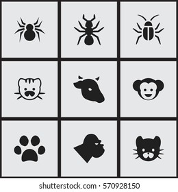 Set Of 9 Editable Zoology Icons. Includes Symbols Such As Feline, Chimpanzee, Baboon And More. Can Be Used For Web, Mobile, UI And Infographic Design.