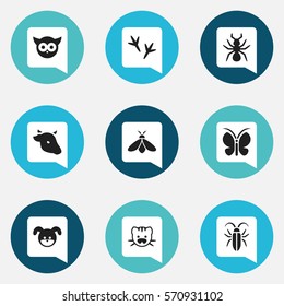 Set Of 9 Editable Zoology Icons. Includes Symbols Such As Bug, Bedbug, Bull And More. Can Be Used For Web, Mobile, UI And Infographic Design.