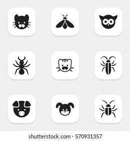 Set Of 9 Editable Zoology Icons. Includes Symbols Such As Bird, Honey, Bedbug And More. Can Be Used For Web, Mobile, UI And Infographic Design.