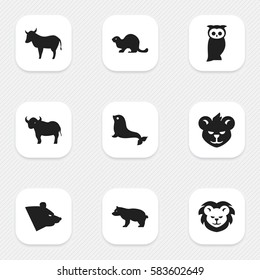 Set Of 9 Editable Zoology Icons. Includes Symbols Such As Wildcat, Wildlife Castor, Tiger And More. Can Be Used For Web, Mobile, UI And Infographic Design.