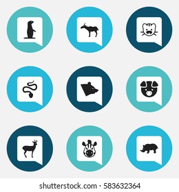 Set Of 9 Editable Zoology Icons. Includes Symbols Such As Grizzly, Hog, Gazelle And More. Can Be Used For Web, Mobile, UI And Infographic Design.
