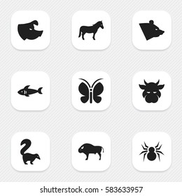 Set Of 9 Editable Zoology Icons. Includes Symbols Such As Sow, Grizzly, Moth And More. Can Be Used For Web, Mobile, UI And Infographic Design.