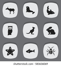 Set Of 9 Editable Zoology Icons. Includes Symbols Such As Sea Calf, Sea Star, Bunny And More. Can Be Used For Web, Mobile, UI And Infographic Design.