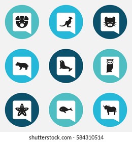 Set Of 9 Editable Zoology Icons. Includes Symbols Such As Polar Animal, Ox, Feline And More. Can Be Used For Web, Mobile, UI And Infographic Design.