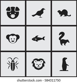 Set Of 9 Editable Zoology Icons. Includes Symbols Such As Baboon, Bug, Wildlife Castor And More. Can Be Used For Web, Mobile, UI And Infographic Design.