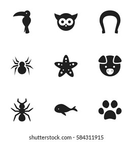 Set Of 9 Editable Zoology Icons. Includes Symbols Such As Night Fowl, Talisman, Sea Star And More. Can Be Used For Web, Mobile, UI And Infographic Design.
