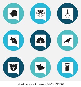 Set Of 9 Editable Zoology Icons. Includes Symbols Such As Grizzly, Owl, Rhinoceros And More. Can Be Used For Web, Mobile, UI And Infographic Design.