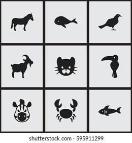 Set Of 9 Editable Zoology Icons. Includes Symbols Such As Ocean Blower, Livestock, Stallion And More. Can Be Used For Web, Mobile, UI And Infographic Design.