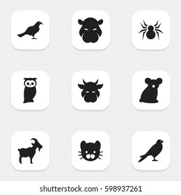 Set Of 9 Editable Zoology Icons. Includes Symbols Such As Gull, Arachind, Feline And More. Can Be Used For Web, Mobile, UI And Infographic Design.