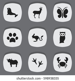 Set Of 9 Editable Zoology Icons. Includes Symbols Such As Moth, Ox, Lobster And More. Can Be Used For Web, Mobile, UI And Infographic Design.