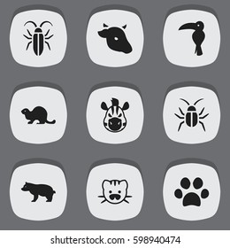 Set Of 9 Editable Zoology Icons. Includes Symbols Such As Horse, Bull, Polar Animal And More. Can Be Used For Web, Mobile, UI And Infographic Design.