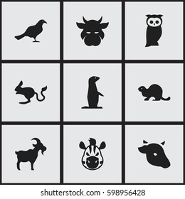 Set Of 9 Editable Zoology Icons. Includes Symbols Such As Gull, Owl, Wildlife Castor And More. Can Be Used For Web, Mobile, UI And Infographic Design.