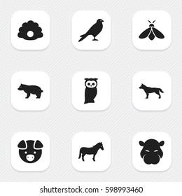 Set Of 9 Editable Zoology Icons. Includes Symbols Such As Owl, Hippopotamus, Dog And More. Can Be Used For Web, Mobile, UI And Infographic Design.