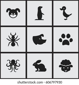Set Of 9 Editable Zoology Icons. Includes Symbols Such As Sheep, Forepaw, Sow And More. Can Be Used For Web, Mobile, UI And Infographic Design.