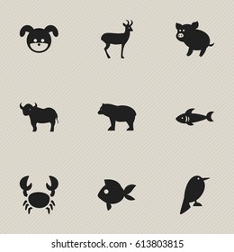 Set Of 9 Editable Zoology Icons. Includes Symbols Such As Turbot, Ox, Lobster And More. Can Be Used For Web, Mobile, UI And Infographic Design.