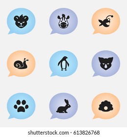 Set Of 9 Editable Zoology Icons. Includes Symbols Such As Escargot, Diver, Rhinoceros And More. Can Be Used For Web, Mobile, UI And Infographic Design.