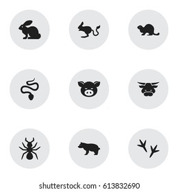 Set Of 9 Editable Zoology Icons. Includes Symbols Such As Wildlife Castor, Piggy, Bedbug And More. Can Be Used For Web, Mobile, UI And Infographic Design.