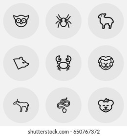 Set Of 9 Editable Zoology Icons. Includes Symbols Such As Predator Bird, Antelope, Calf And More. Can Be Used For Web, Mobile, UI And Infographic Design.