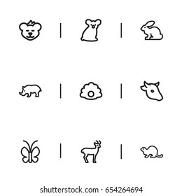 Set Of 9 Editable Zoology Icons. Includes Symbols Such As Sloth, Butterfly, Cougar And More. Can Be Used For Web, Mobile, UI And Infographic Design.