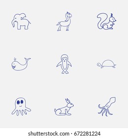 Set Of 9 Editable Zoology Icons. Includes Symbols Such As Rabbit, Elephant, Pony And More. Can Be Used For Web, Mobile, UI And Infographic Design.