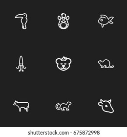 Set Of 9 Editable Zoology Icons. Includes Symbols Such As Calamary, Beaver, Cougar And More. Can Be Used For Web, Mobile, UI And Infographic Design.