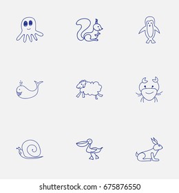 Set Of 9 Editable Zoology Icons. Includes Symbols Such As Squid, Cachalot, Rabbit And More. Can Be Used For Web, Mobile, UI And Infographic Design.