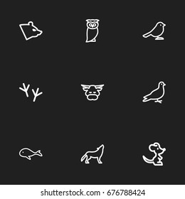 Set Of 9 Editable Zoology Icons. Includes Symbols Such As Wolf, Cachalot, Bird And More. Can Be Used For Web, Mobile, UI And Infographic Design.