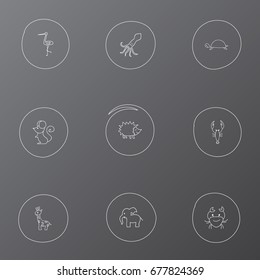 Set Of 9 Editable Zoology Icons. Includes Symbols Such As Lobster, Cancer, Elephant And More. Can Be Used For Web, Mobile, UI And Infographic Design.