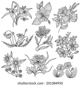 Set of 9 elegant decorative flowers, design elements. Floral branches. Floral decorations for vintage wedding invitations, greeting cards, banners. Lilly, poppy, peony, pansy, hibiscus flowers