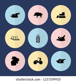 Set of 9 farm filled icons such as wheat, rabbit, hog, tractor, chicken