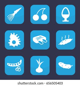 Set of 9 filled icons such as onion, peas, cherry, cucumber, egg, meat