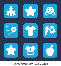 Set of 9 filled icons such as fly, star, t-shirt, heart key, apple