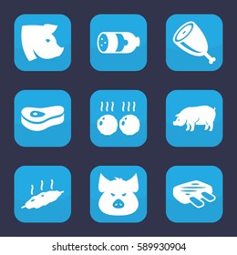 Set of 9 filled pork icons such as sausage, pig