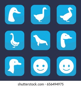 Set of 9 filled smiling icons such as goose, seal