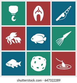 Set of 9 fish filled icons such as fish, hook, fishing, extinct sea creature