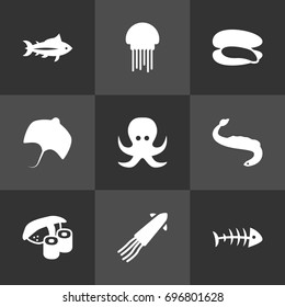 Set Of 9 Food Icons Set.Collection Of Calamary, Japanese Roll, Tunny And Other Elements.