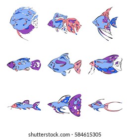 Set of 9 freshwater aquarium fish on white background in loop flat style