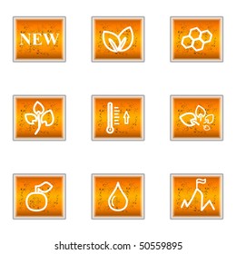 Set of 9 glossy web icons (set 19).