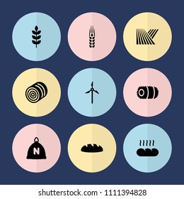 Set of 9 grain filled icons such as wheat, field, sack, hay, bread