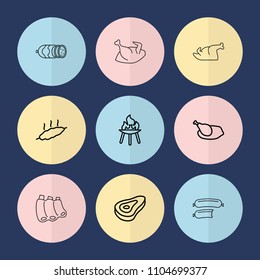 Set of 9 grilled outline icons such as beef, chicken, meat, bbq