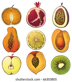 conjunto de 9 frutas coloridas dibujadas a mano