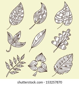 set of 9 hand drawn decorative leaves for your design